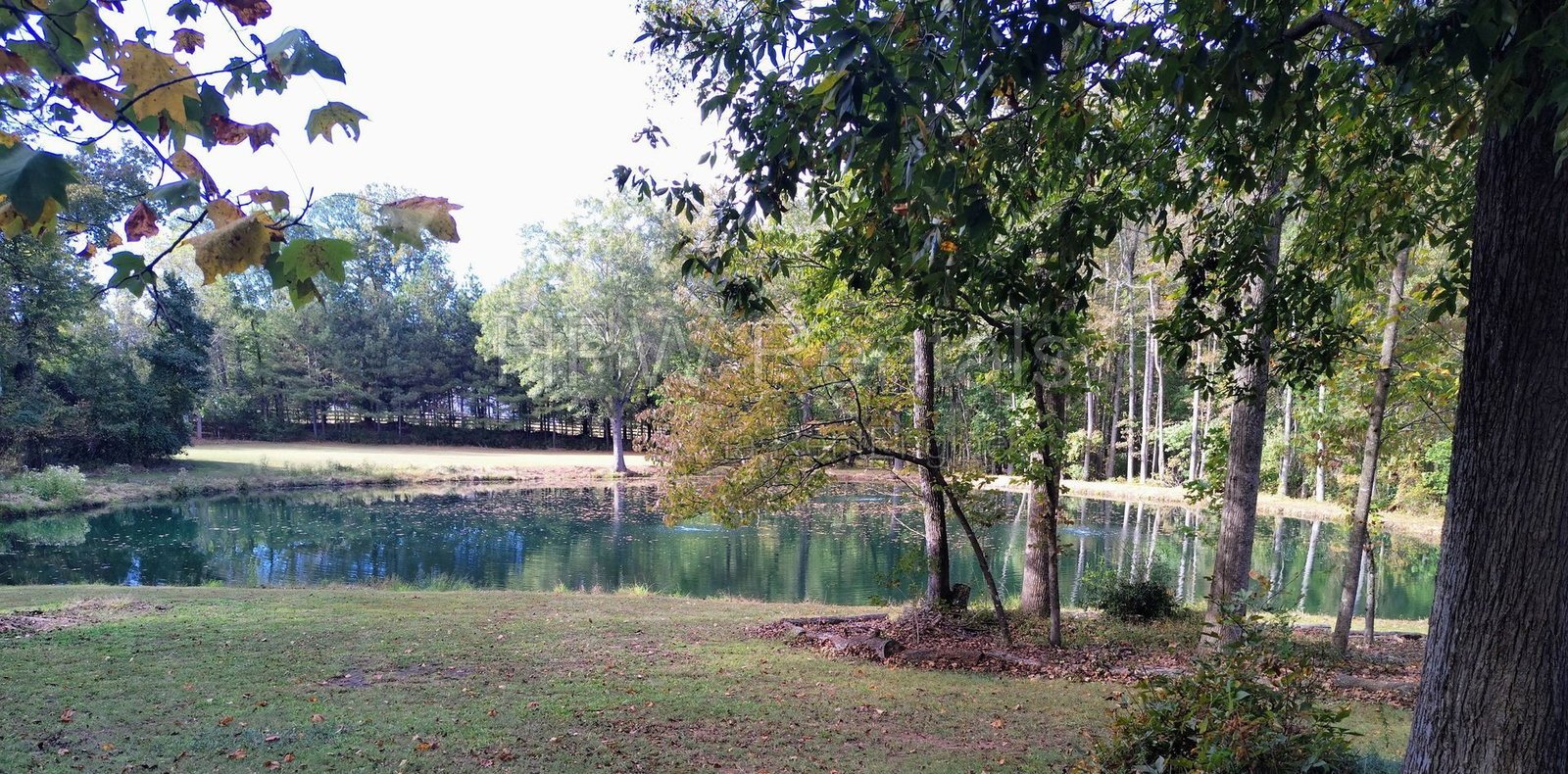 A Nature-lover's Paradise! property image