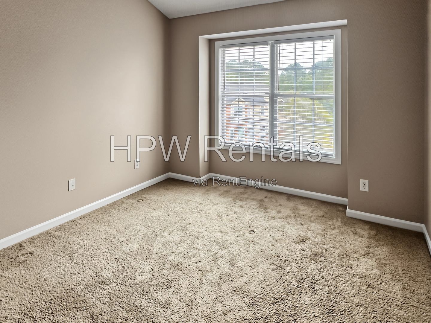 North Raleigh Delight! property image