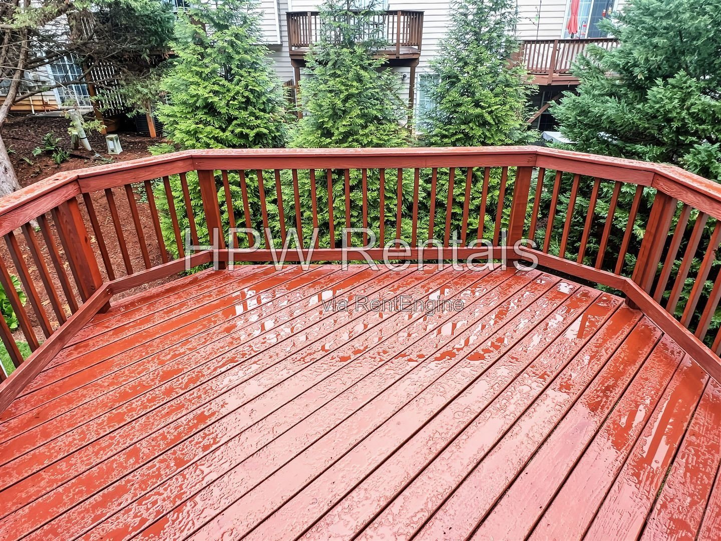 North Raleigh Delight! property image